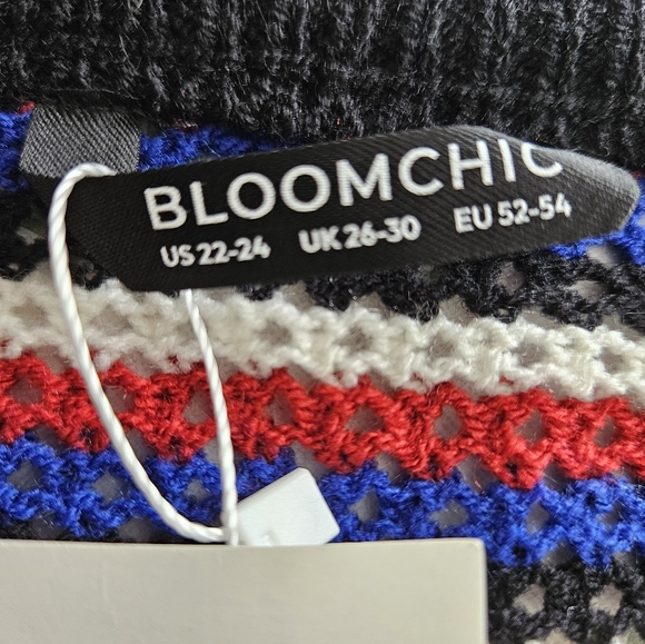 NWT!!! Bloomchic Multicolor Striped Women's Sweater Size 22-26 - Picture 3 of 5